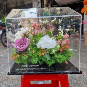 Hộp mica trưng bày 02